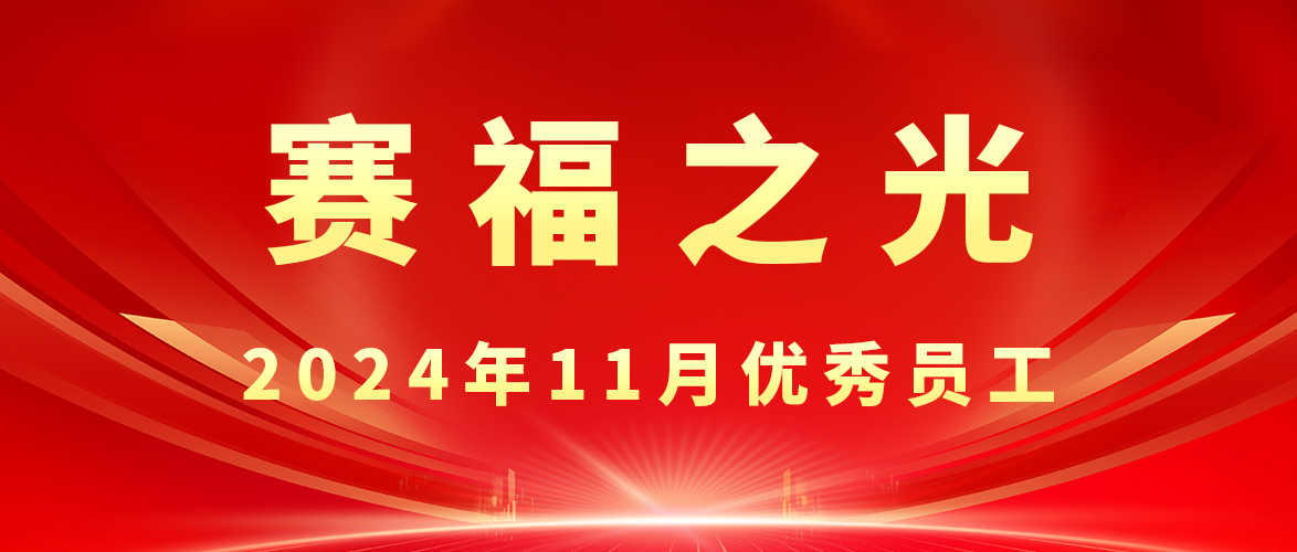 【賽福之光】2024年11月優(yōu)秀員工先進(jìn)事跡